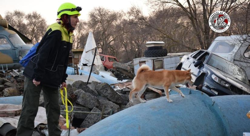 Romok között bizonyították rátermettségüket a magyarországi hős kutyák és vezetőik
