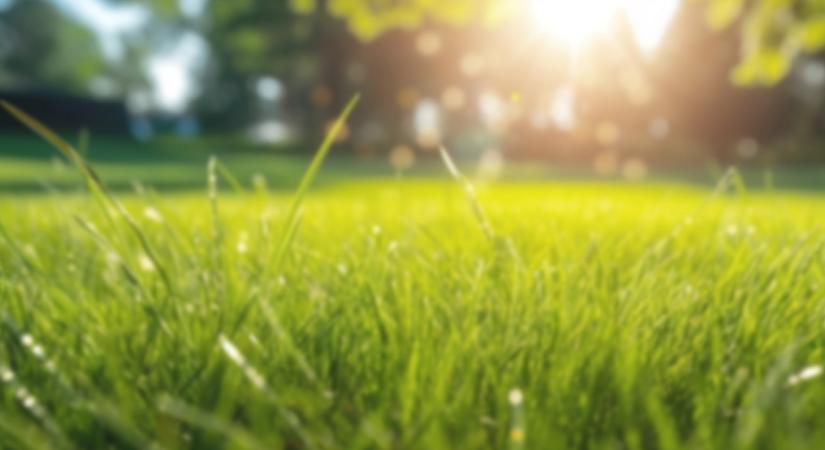 Vegyszermentes trükk: ragyogóan zöld és dús lesz a kertben a pázsit tavasszal, ha márciusban ezt csinálod a fűvel