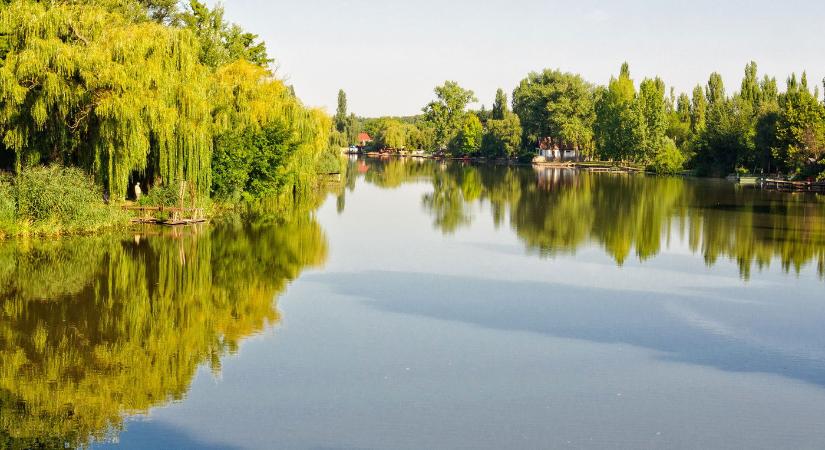 Megtalálták Magyarország közepét, döbbenetes ami ott mered az ég felé, gigantikus