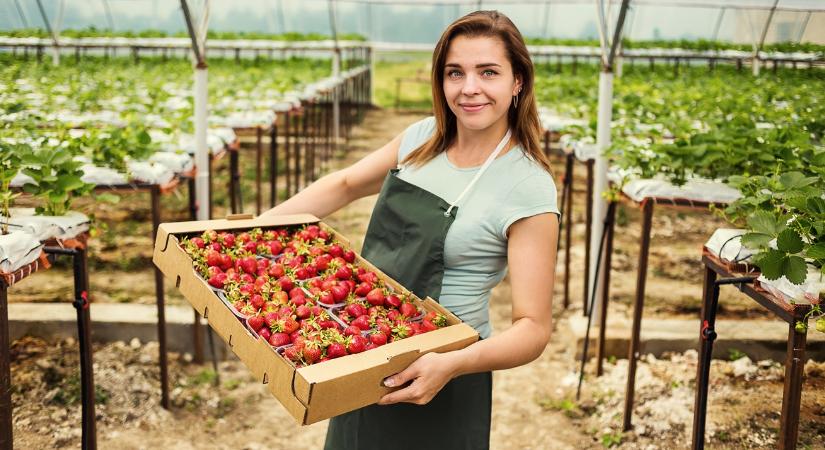 Aki nem vált, annak 10 év múlva piaca sem lesz