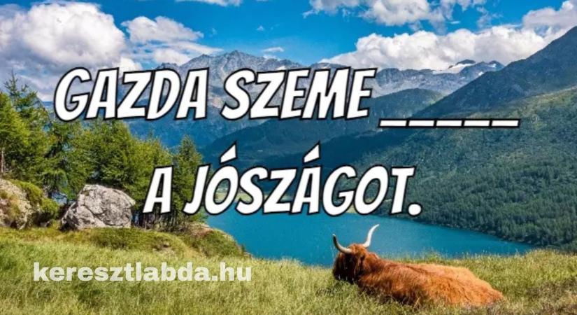 Lássuk, hogyan folytatódik! Játékos közmondás feladat, ami garantáltan mosolyt csal az arcodra