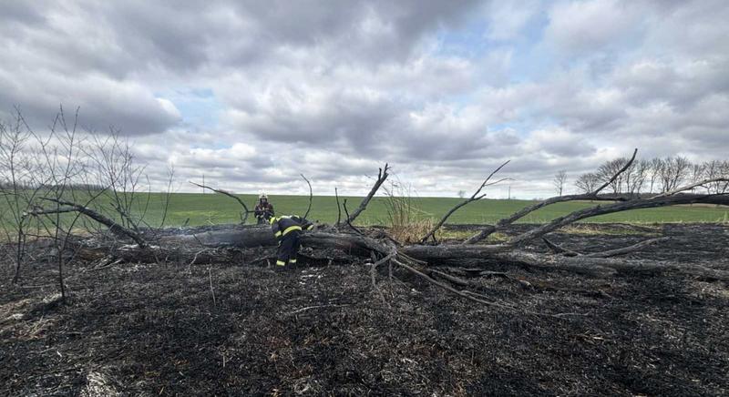 Egy nap alatt kétszer is Szenyérre vonultak a tűzoltók