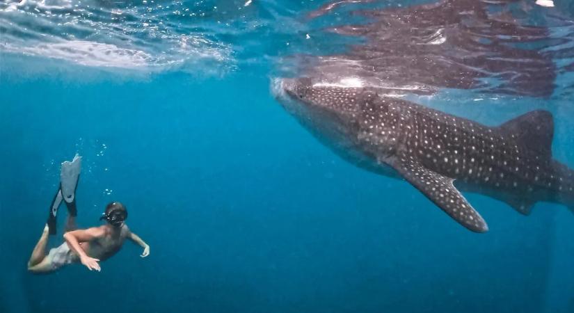 Egyirányú repülőjeggyel indultak el – Fél éve sodródnak kalandról kalandra Ázsiában Gergőék