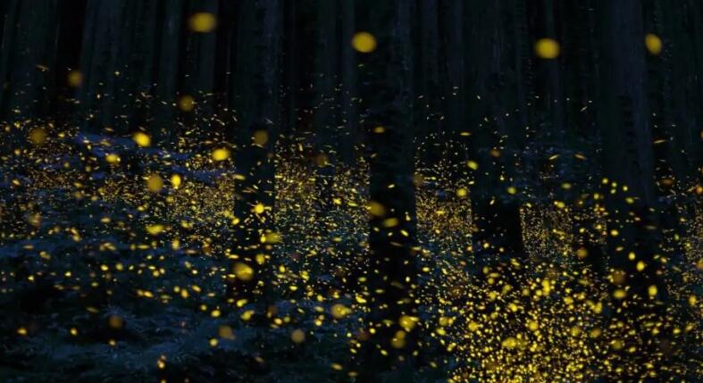 Az élmény, ami nem látványos, mégis megmarad