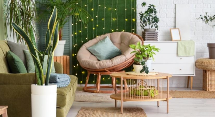 Mit jelent a zöld szín a feng shuiban? Így használd a kellemes élettérért