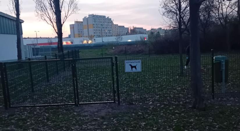 Kutyafuttatót adtak át Győrben