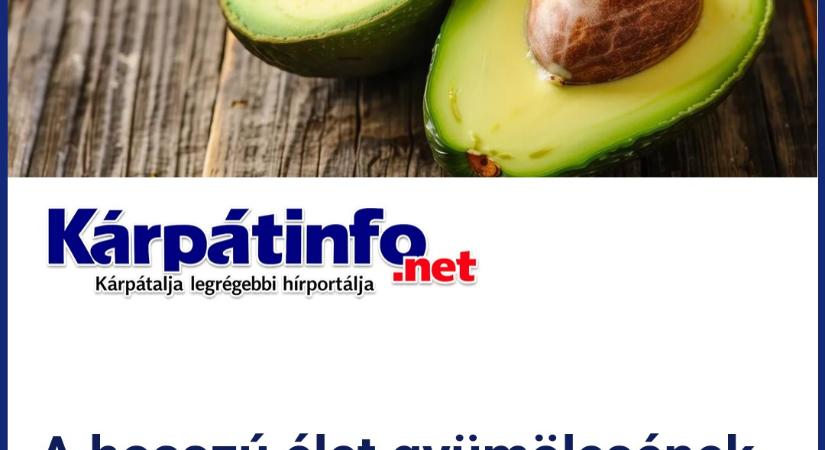A hosszú élet gyümölcsének is nevezik – miért lett ennyire népszerű az avokádó?