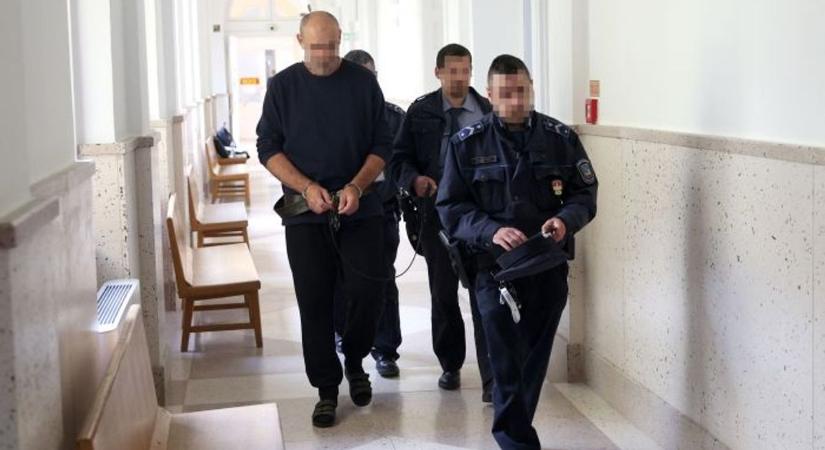 Mindent beismert a csömendi csákányos gyilkos, de az ítéletet azért túlzónak érzi