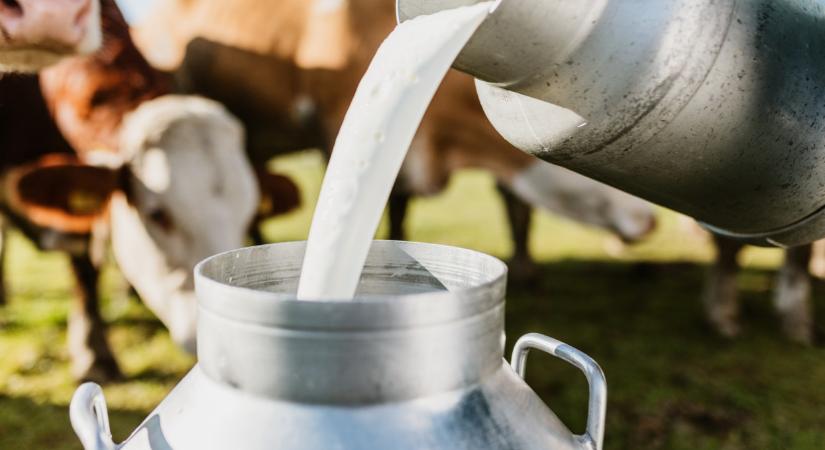 Akkora a baj Európában, hogy rengeteg termelő kerülhet a csőd szélére