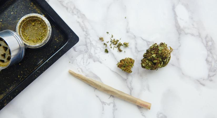 A Kutyapárt engedélyezné a drogfogyasztást és a termesztést is