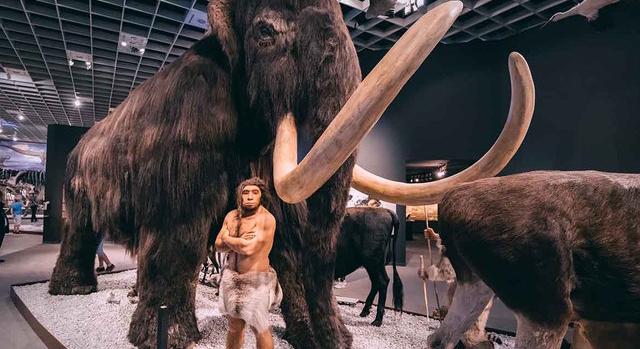 Több száz kilométert vándoroltak a neandervölgyiek által elejtett őselefántok