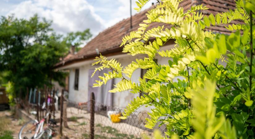 Már a kormányhivatal is önazonossági rendeletek visszavonására szólítja fel az önkormányzatokat