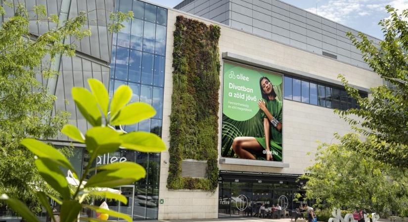 Az Allee lett az Év Bevásárlóközpontja – ünneplés és kuponnapok márciusban