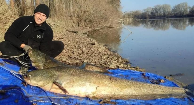 Hanyatt esett fárasztás közben a horgász, mégis kifogta a kapitális harcsát