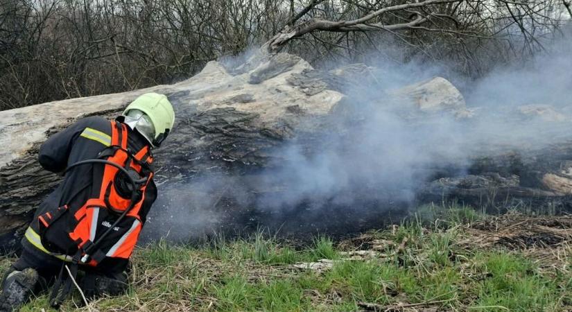 Kétszer is kigyulladt az erdő Szenyérnél