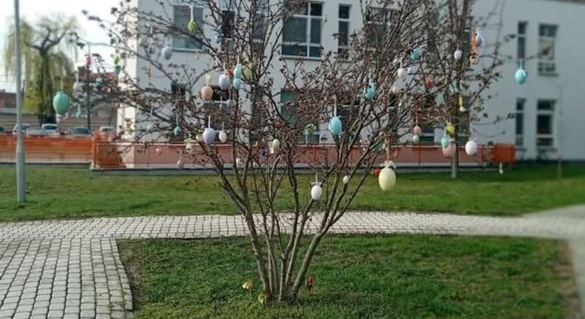 Nem mindennapi látvány fogadja a betegeket Gyöngyösön: különleges hagyományt teremtettek