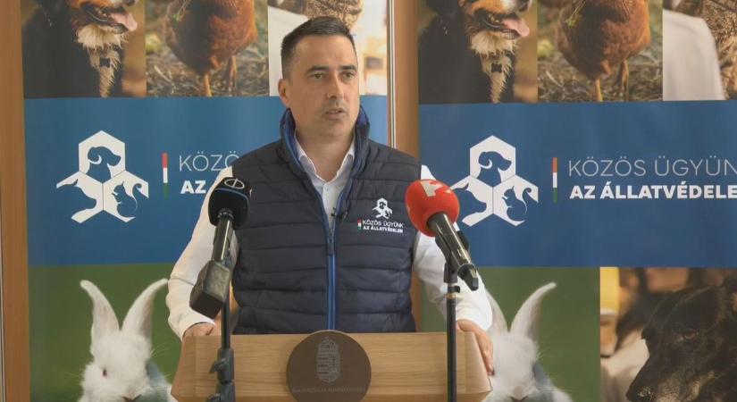 Rekordszámú civil szervezet nyert állami támogatást az egymilliárd forintos pályázaton