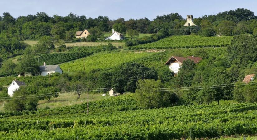 Nő a községek népessége, de csak Budapesthez közel