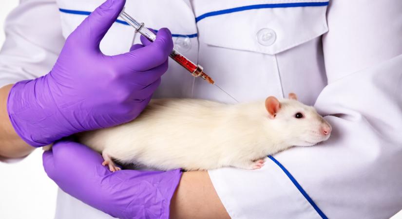 Gyógyszer vagy placebo? Hogyan bizonyít az orvostudomány?