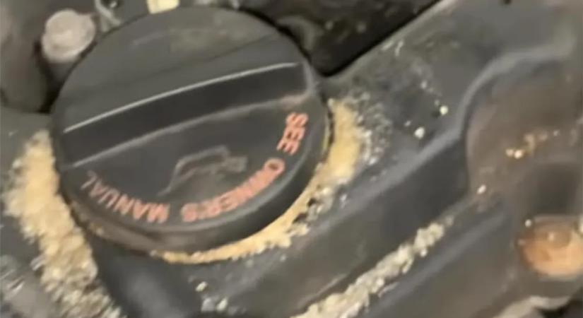 Benézett a szerelő az autó motorterébe, olyat látott, amit soha életében – videó