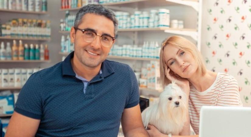 Munkanélküli vagy és van egy jó vállalkozási ötleted? Így segítenek Zalában