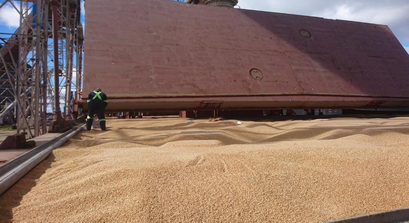 Bekúszik a bőrünk alá is ez a háború, itt a magyarázat sok mindenre