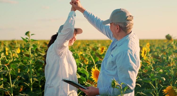 Milliókat vihetnek a digitális fejlesztésre