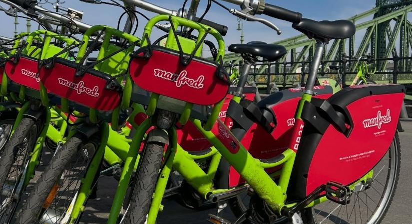 Manfrednek hívják a Bubi konkurenciáját, több mint ezer bringával indul az új rendszer