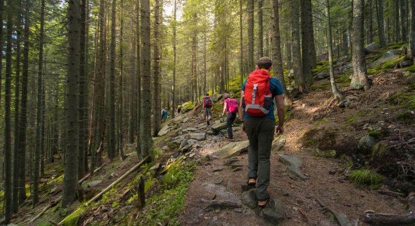 Ez a virág évente csak egyszer, csak ezen a helyen látható –Te tudod melyik az?