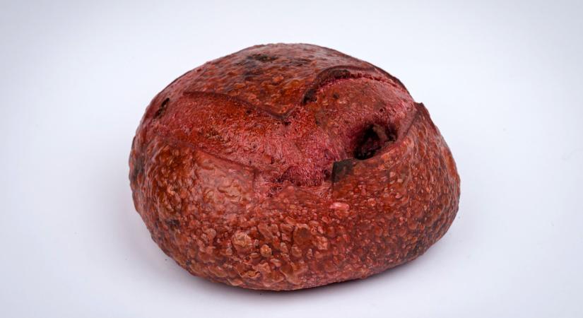 Óriási elismerés: Tíz díjat nyert a Vál-Völgye Pékség a 22. Nemzetközi Kenyérversenyen