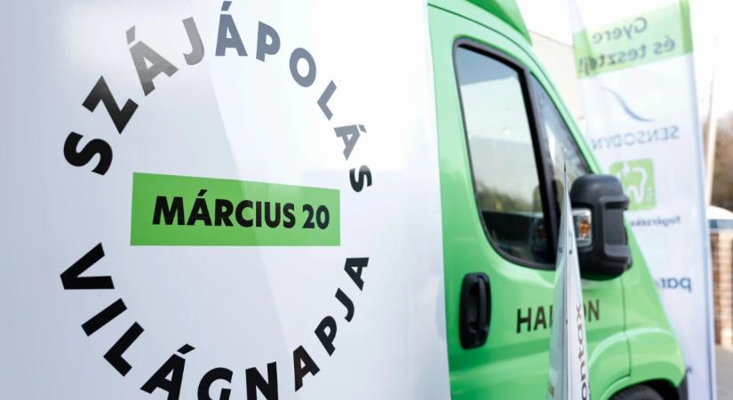 Befektetés a jövőbe: adomány és edukáció a Haleontól