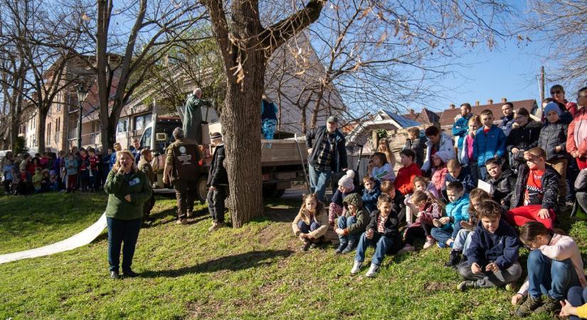 Víz Világnapja: Óriási bulival várja a kicsiket-nagyokat a KÖVIZIG