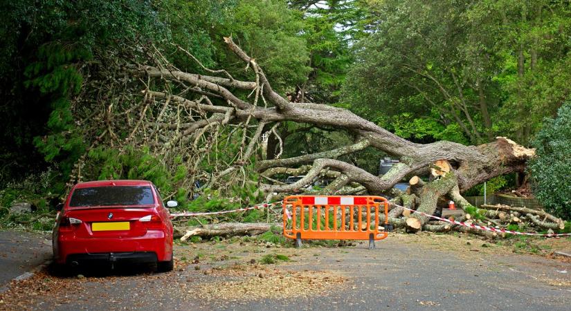 Váratlan úttorlasz akadályozta a közlekedést Zalában