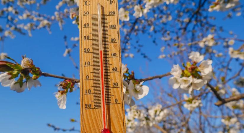 A Sándor név története és híres viselői – kvíz