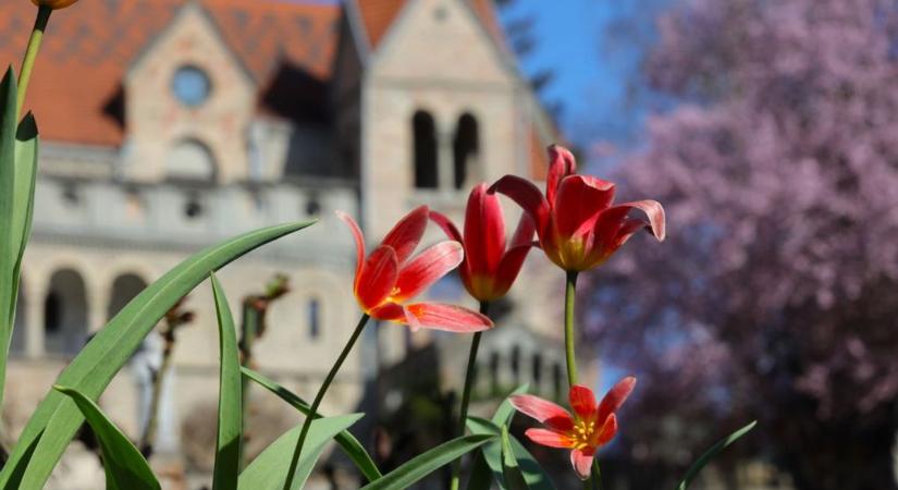 Sándor, József, Benedek – valóban zsákban hozzák a meleget? Néphagyományok és mai valóság