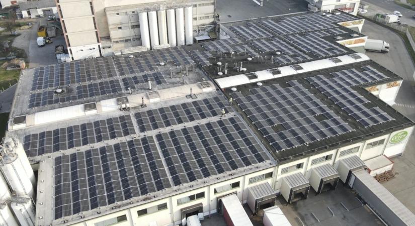 A régió legnagyobb sütőüzeme épül Tatán