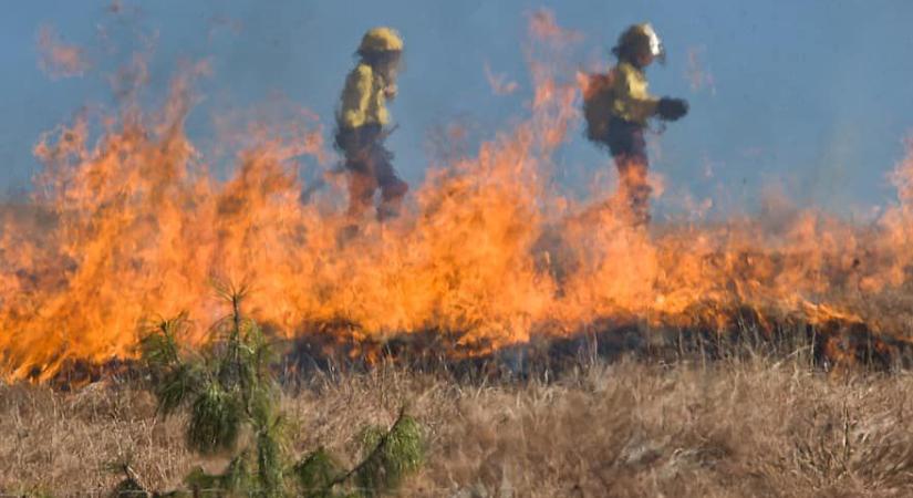 Tilalmat rendeltek el Hajdú-Biharban