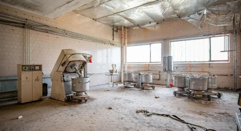 Rejtély a magyar kenyérgyárban: mindent hátrahagyva tűntek el a munkások