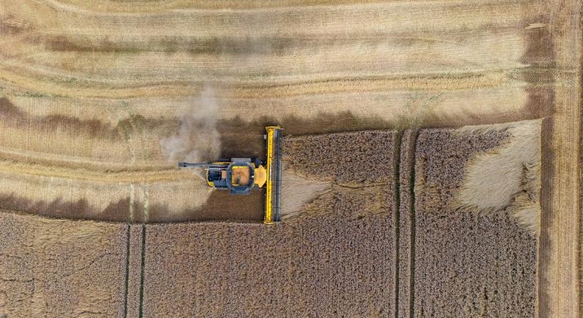 Valóságos dráma zajlik a talpunk alatt, hetek alatt teljesen kiszáradt a felszín az Alföldön