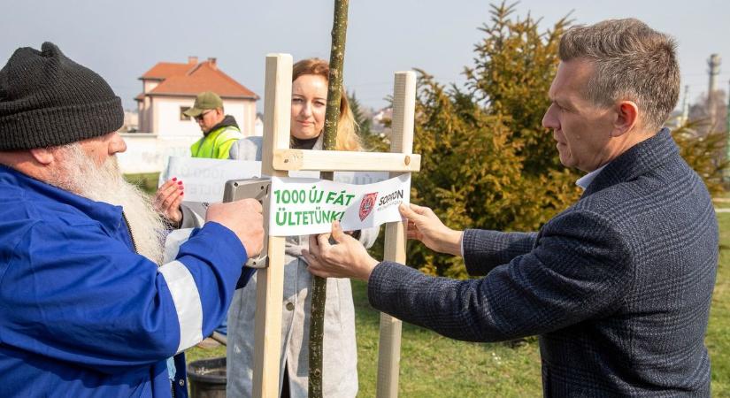 Tizenkét új facsemetével gazdagodott a leghűségesebb város