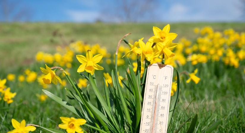 Megtréfál minket a tavasz: mutatjuk, milyen lesz az időjárás Tolnában