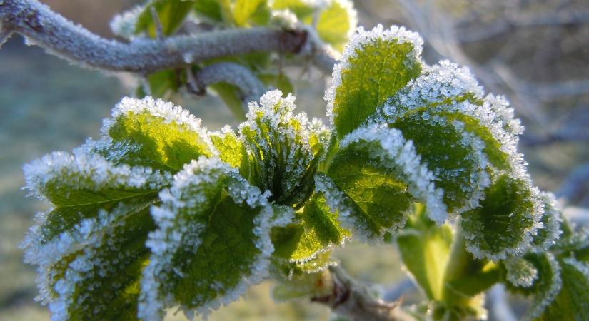 Időjárás: Derült nappalra dermesztő reggel jön VIDEÓ