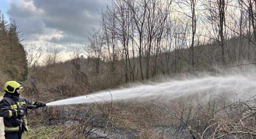 Tavaszi „sláger”, ezzel harcolnak most a tűzoltók