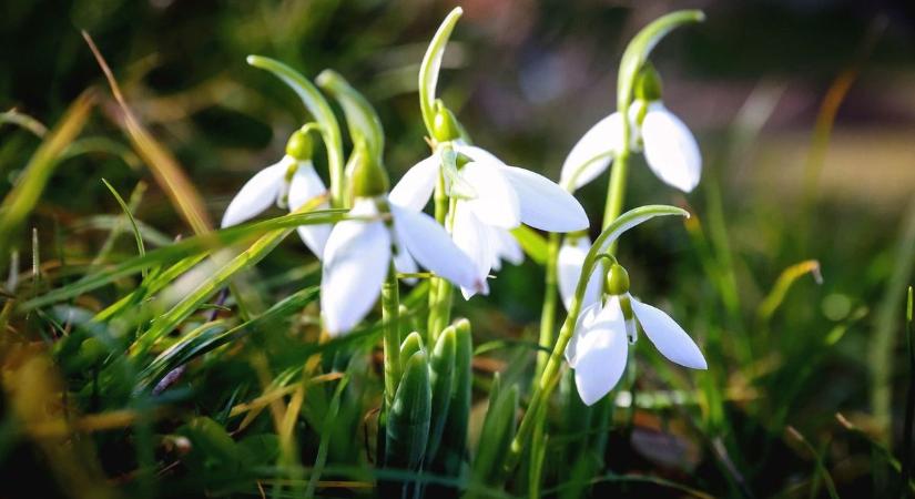 Sándor még hozza a meleget, de ami utána jön, arra kevesen számítanak