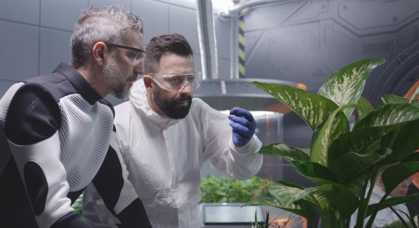 Nem mindennapi magyar kísérlet tért haza az űrből: ez lesz a jövő megoldása?