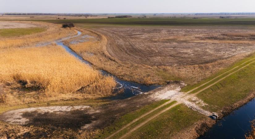 27 ezer hektár a szárazság ellen: tömegesen csatlakoznak a gazdák a vízmegtartó programhoz