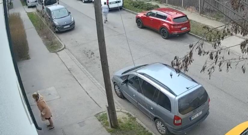 Ugattak a kutyák, és megjelent egy kopaszodó hölgy, aki valamit adott a nekik „enni”…