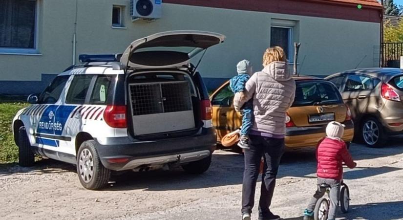 Elfogták az „óvodák rémét”, aki Fejér vármegyében fosztogatott (galéria)