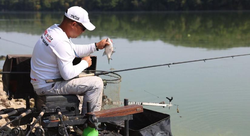 Egészen rendkívüli élmény kifogni ezt a halfajtát, de többé már nem számít szabad prédának