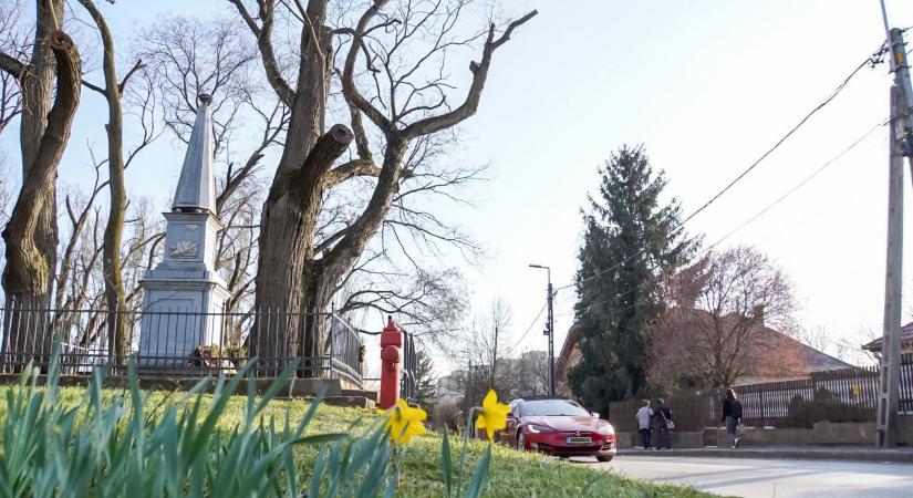 Csokonai síremlékét is rendbe teszik